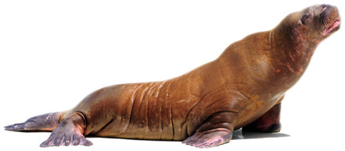 Oh, no! How will you breathe?