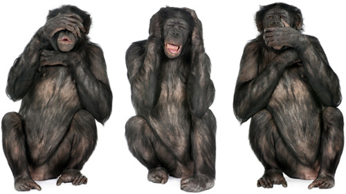 Don't monkey around!