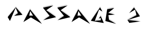 Passage 2
