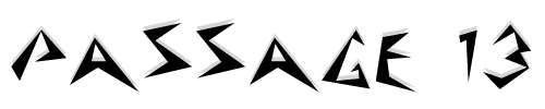 Passage 13