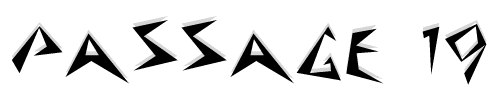 Passage 19