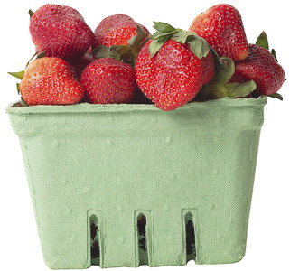 We can dip them in chocolate if you wish.